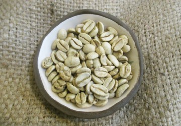 INDE cafe vert INDE cafe vert